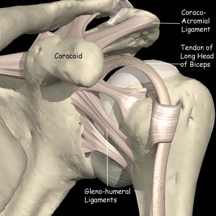 Rotator cuff tear | St. George's Shoulder Unit